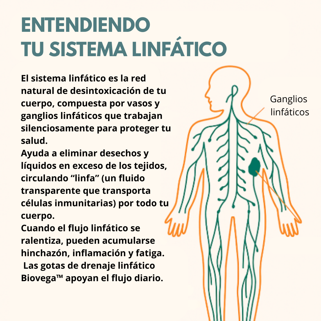 Biovega™ – Gotas de Drenaje Linfático Natural