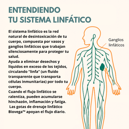 Biovega™ – Gotas de Drenaje Linfático Natural